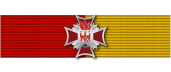 VZS